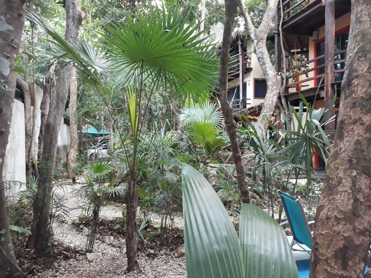 Dolce Caribe Xcaret Bed and Breakfast Πλάγια Ντελ Κάρμεν Εξωτερικό φωτογραφία